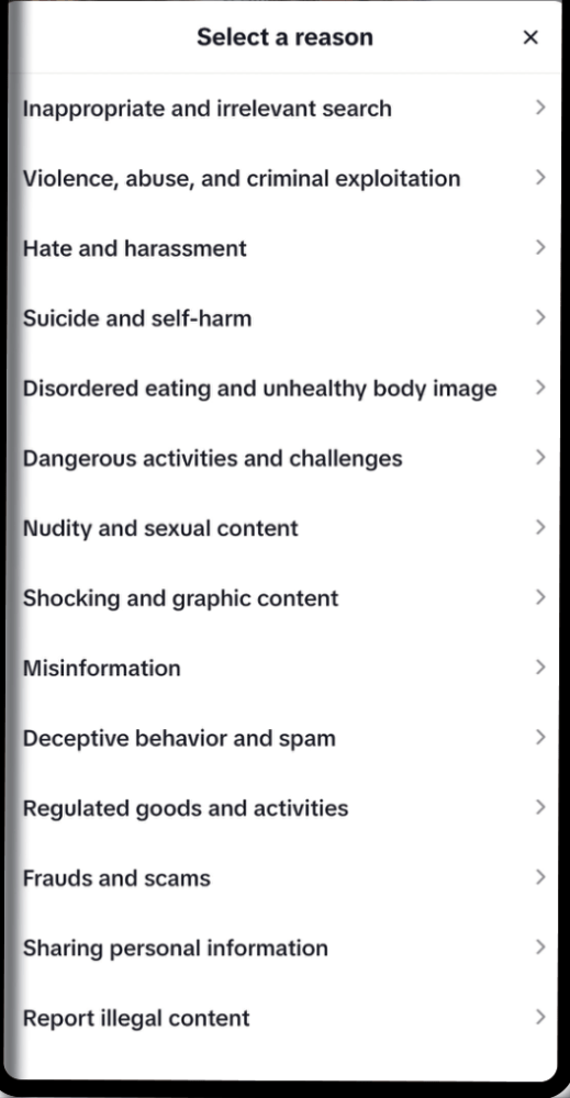 tiktok-reden.png