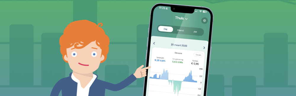 energieverbruiksmanager-0.png